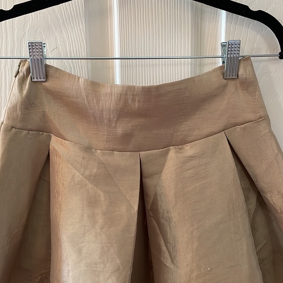 Jasmine - Gold Pleated Skirt with Striped Sheer Panel at Hem - Size Small - Picture 5 of 9